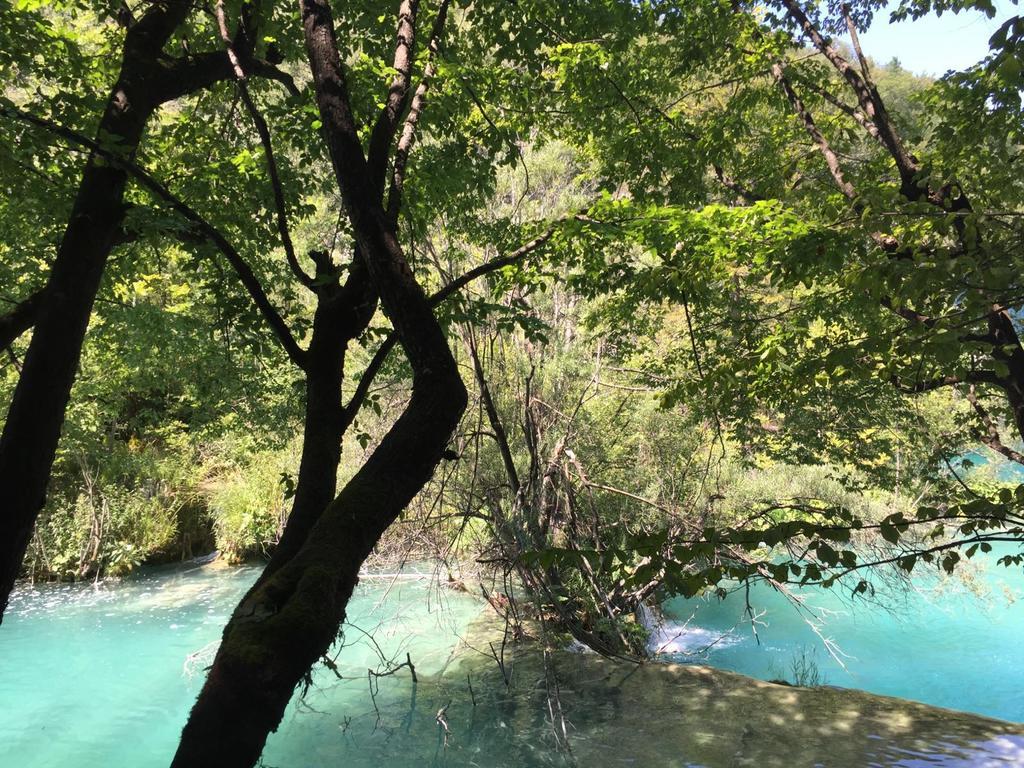 Pool Apartments Plitvice Lakes Grabovac  Eksteriør billede